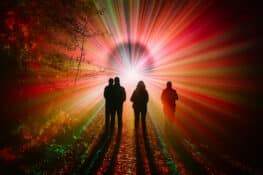 خمسة مهرجانات ضوئية تُحوّل شتاء بلجيكا إلى لوحة فنية ساحرة هذا نوفمبر