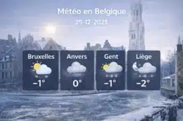 الطقس في بلجيكا اليوم: برد قارس وصقيع ليلي في عدة مناطق